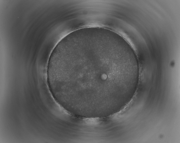 X0000116760810201001141428