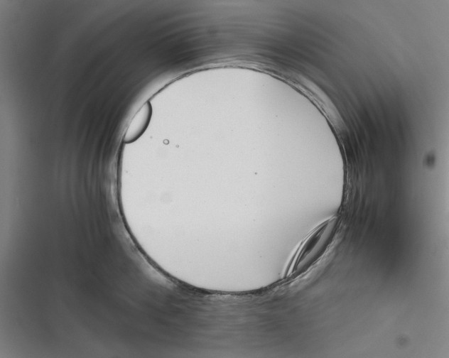 X0000116760812201001141428