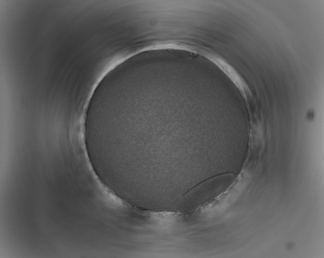 X0000116760813201001141428