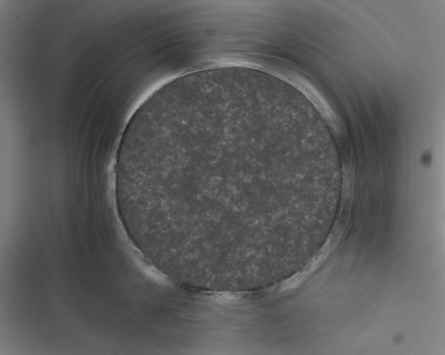 X0000116760814201001141428