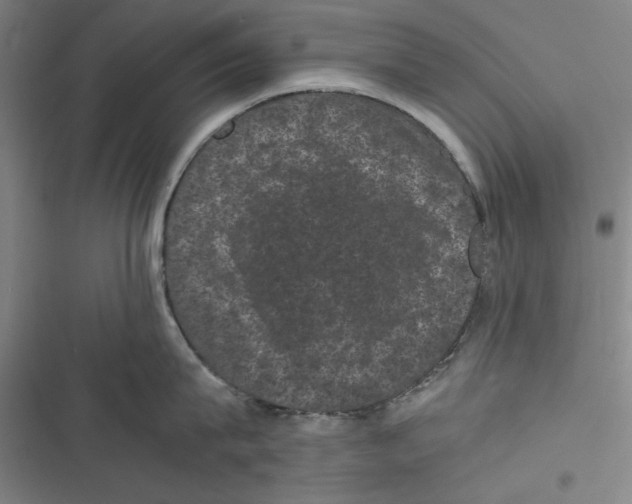 X0000116760815201001141428