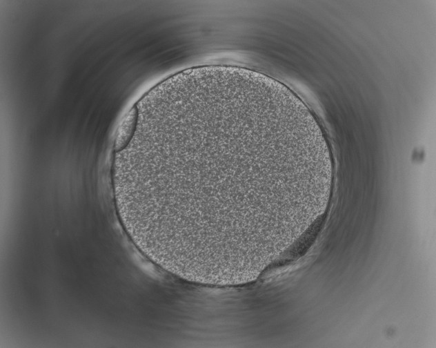 X0000116760816201001141428