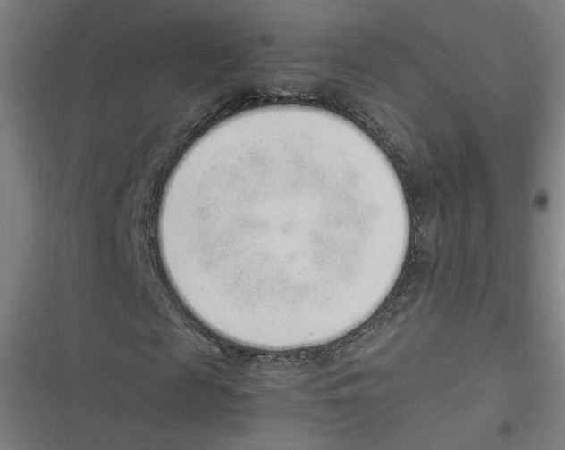 X0000116760817201001141428