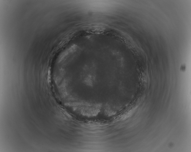 X0000116760818201001141428