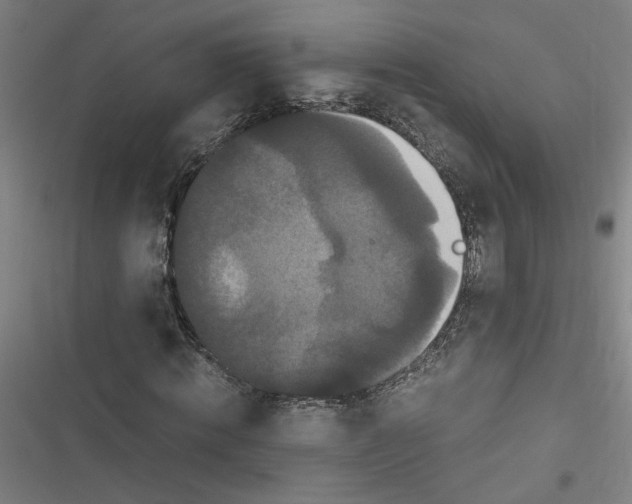 X0000116760820201001141428