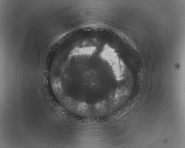 X0000116760822201001141428