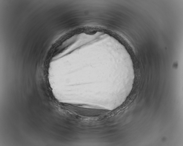 X0000116760823201001141428