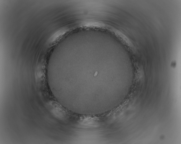 X0000116760824201001141428