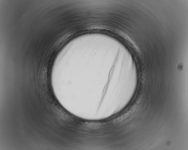 X0000116760825201001141428