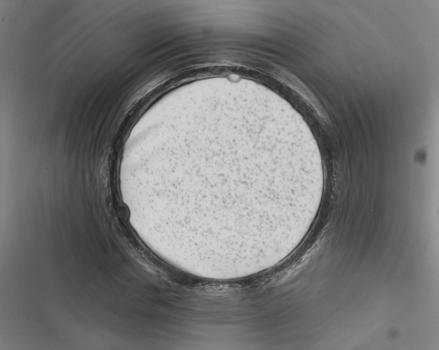 X0000116760826201001141428