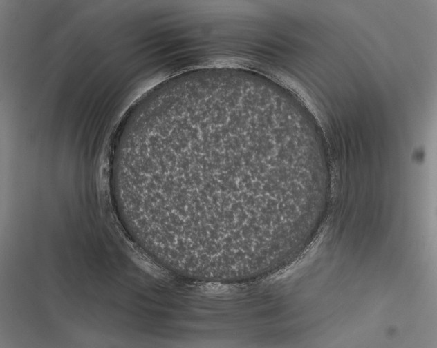 X0000116760827201001141428