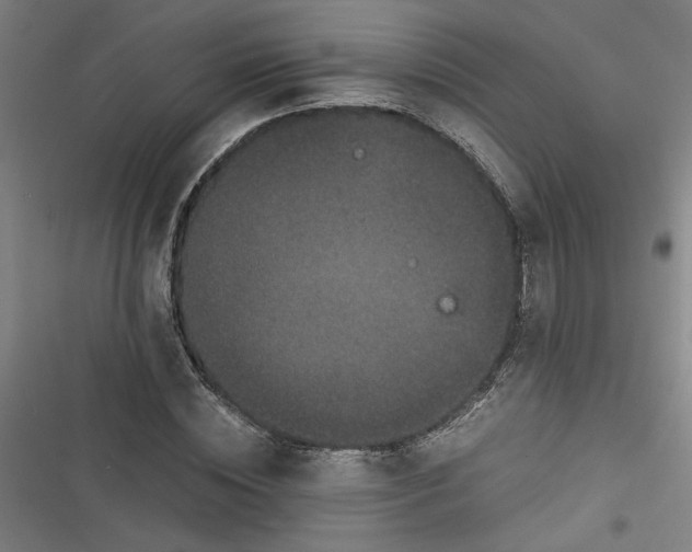 X0000116760828201001141428