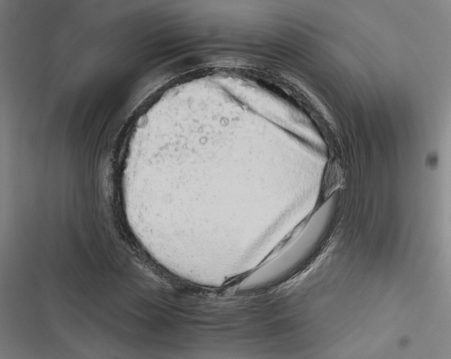 X0000116760829201001141428