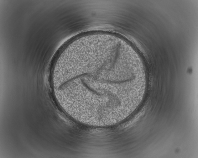 X0000116760830201001141428