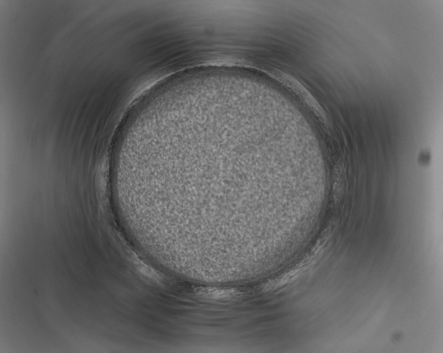 X0000116760831201001141428