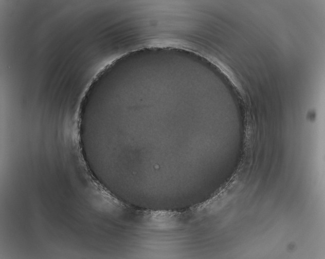 X0000116760832201001141428