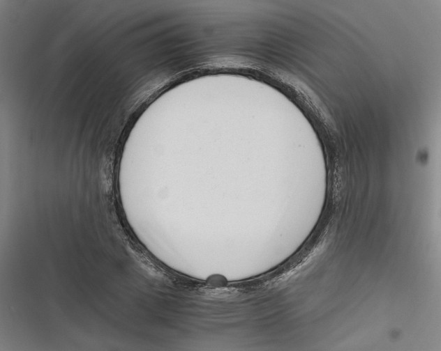 X0000116760833201001141428