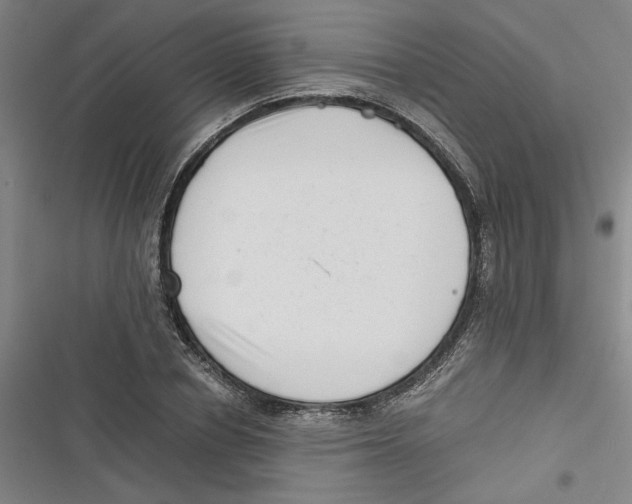 X0000116760834201001141428