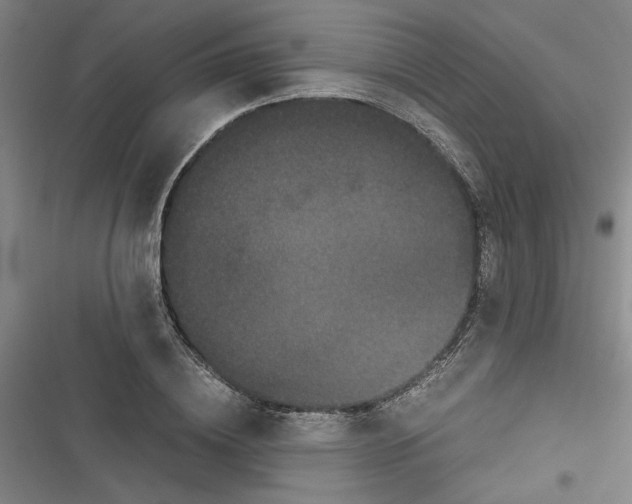 X0000116760836201001141428