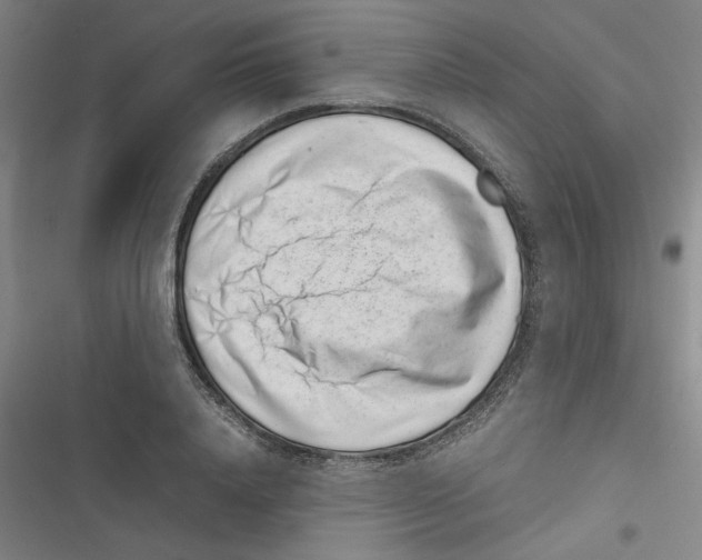 X0000116760840201001141428