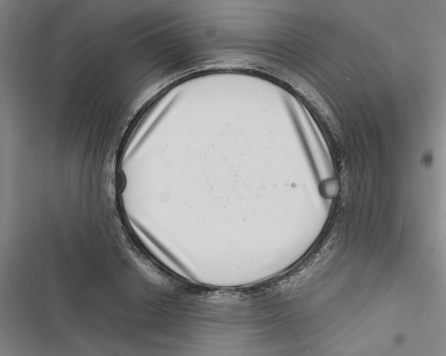 X0000116760842201001141428