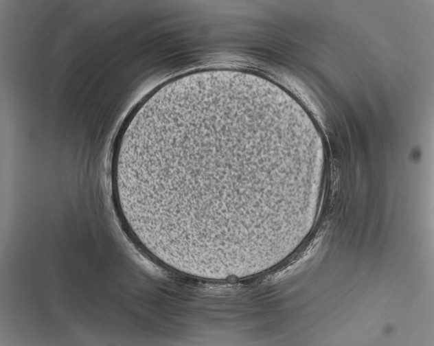 X0000116760843201001141428