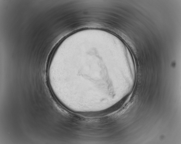 X0000116760845201001141428