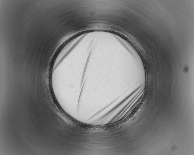 X0000116760846201001141428