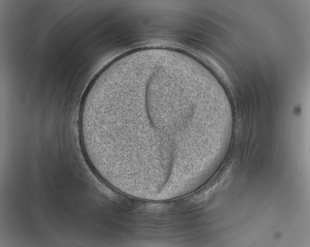 X0000116760847201001141428