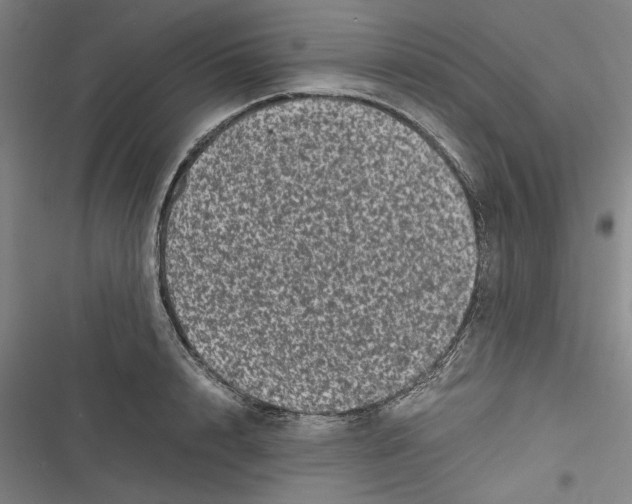 X0000116760848201001141428