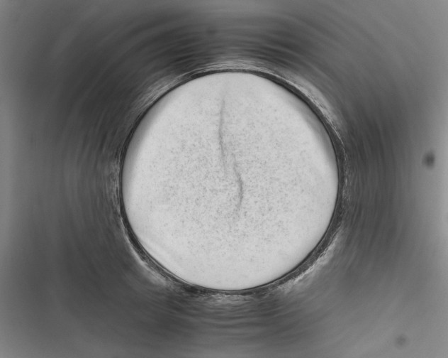 X0000116760849201001141428