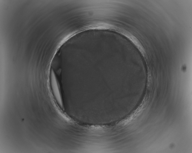 X0000116760850201001141428