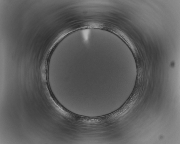 X0000116760851201001141428