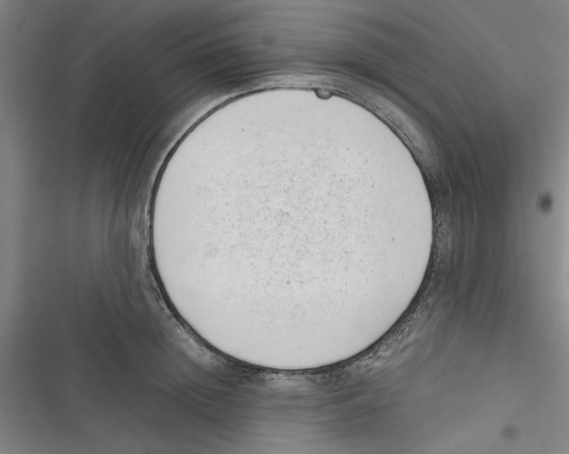 X0000116760852201001141428