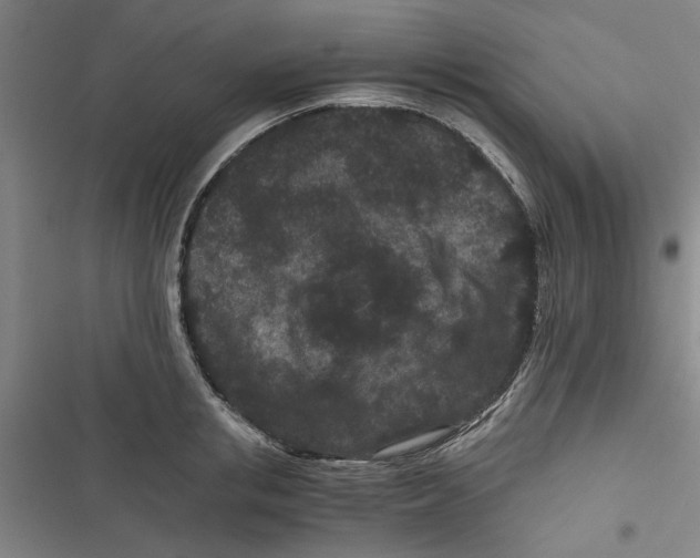 X0000116760853201001141428