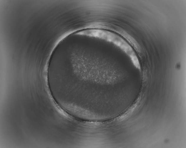 X0000116760854201001141428