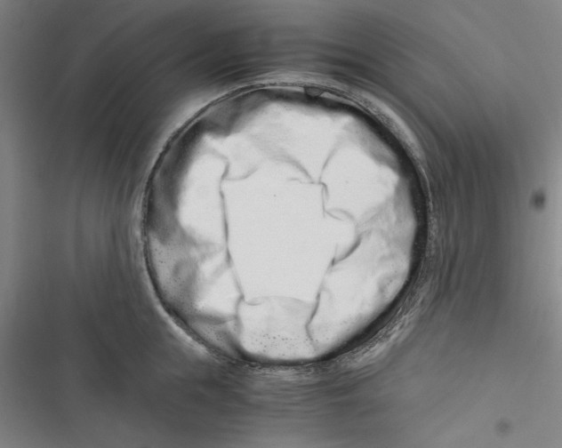 X0000116760855201001141428