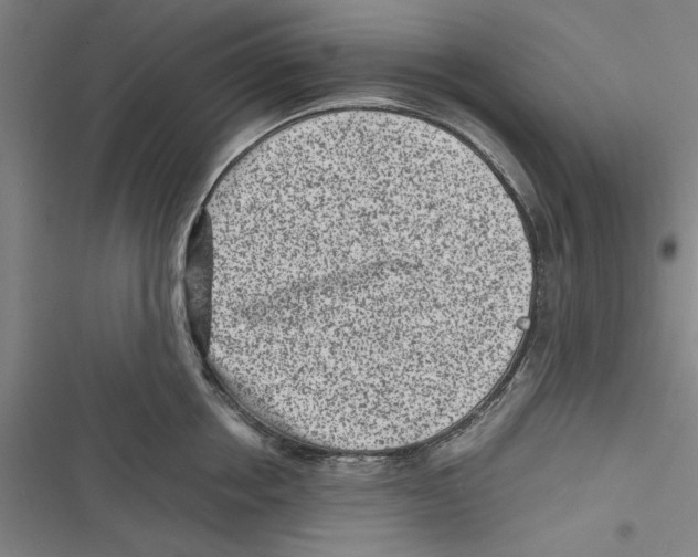 X0000116760858201001141428