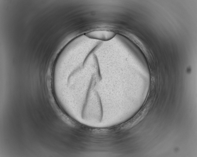 X0000116760859201001141428