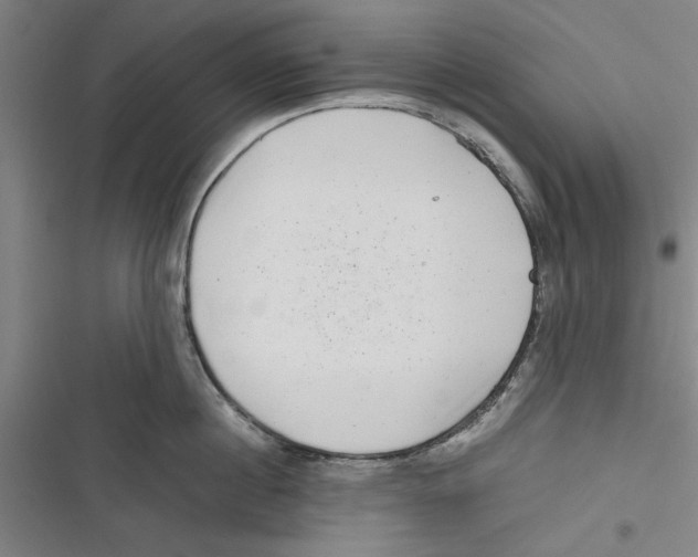 X0000116760860201001141428