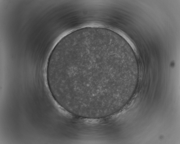 X0000116760861201001141428