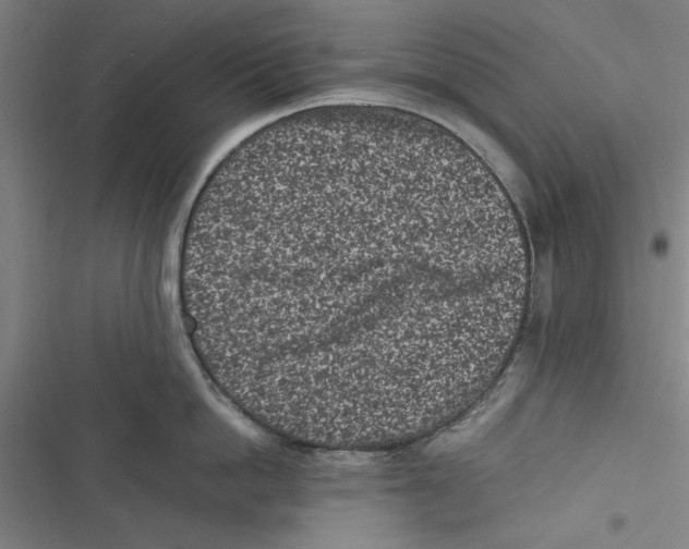 X0000116760862201001141428