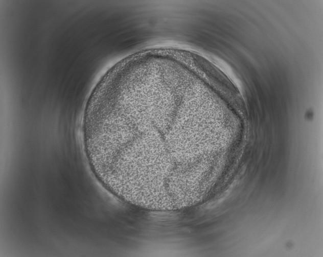 X0000116760863201001141428