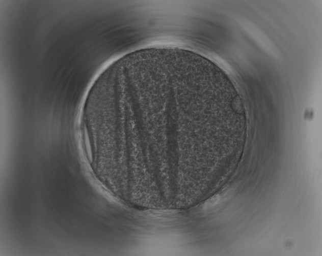 X0000116760864201001141428