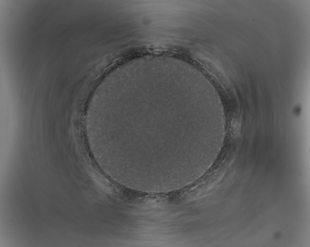 X0000116760865201001141428