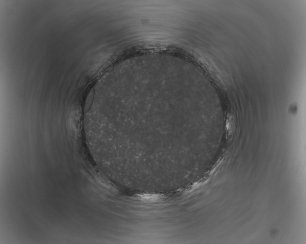 X0000116760867201001141428