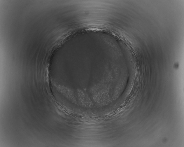 X0000116760868201001141428