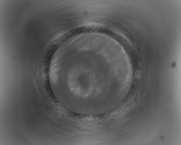 X0000116760869201001141427