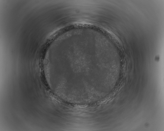 X0000116760870201001141427