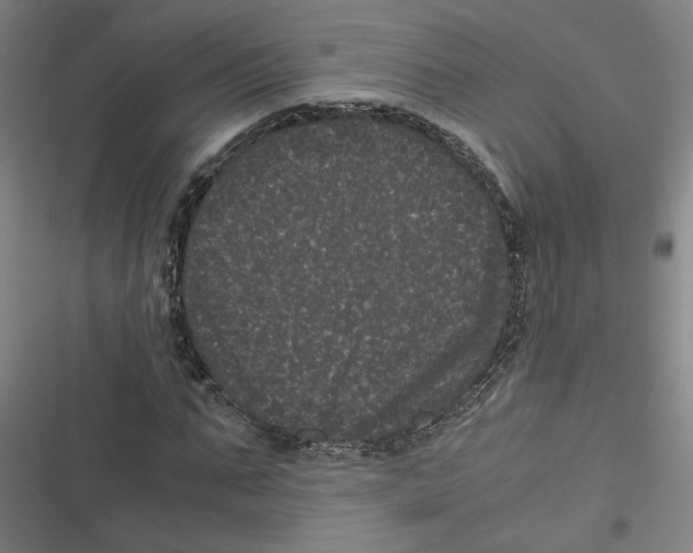 X0000116760871201001141427